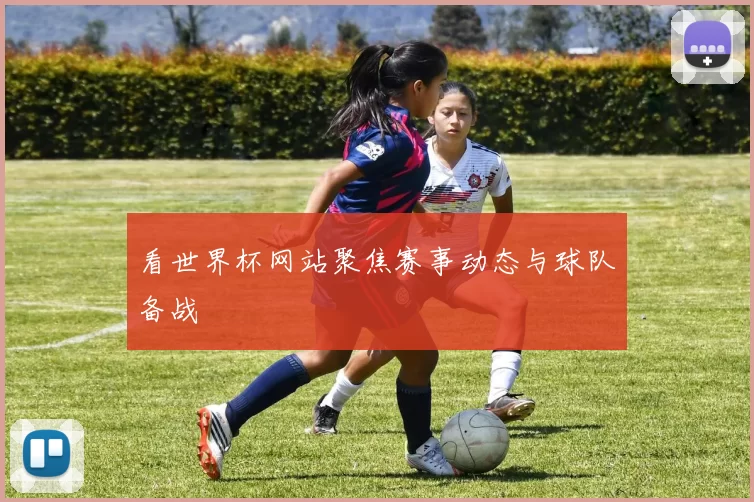 看世界杯网站聚焦赛事动态与球队备战