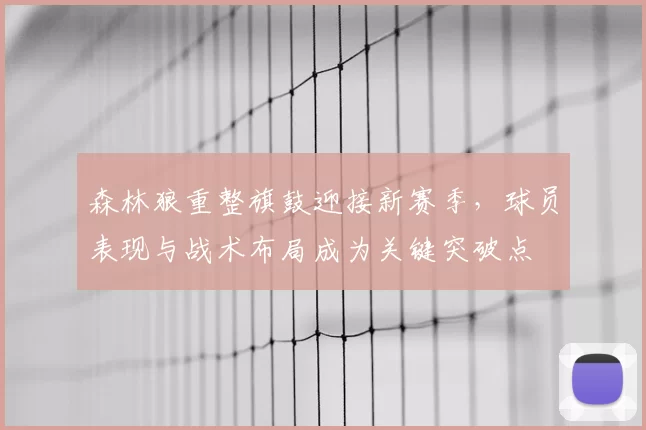 森林狼重整旗鼓迎接新赛季,球员表现与战术布局成为关键突破点