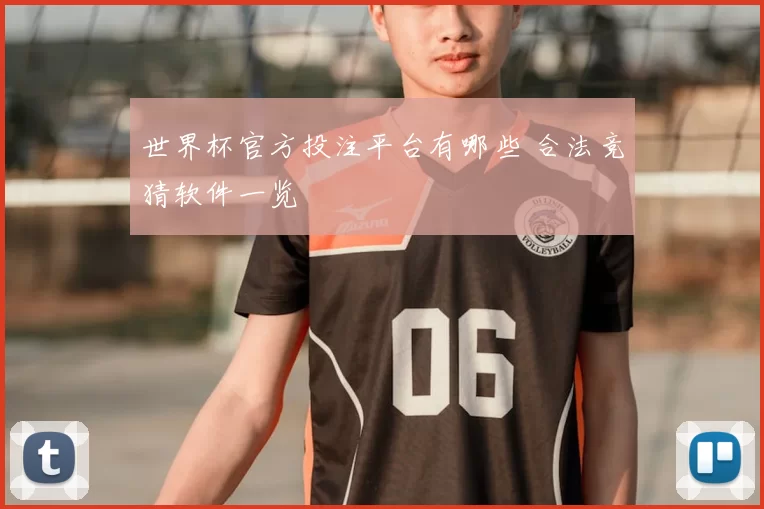 世界杯官方投注平台有哪些 合法竞猜软件一览