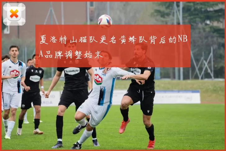 夏洛特山猫队更名黄蜂队背后的NBA品牌调整始末