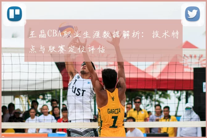 王晶CBA职业生涯数据解析：技术特点与联赛定位评估