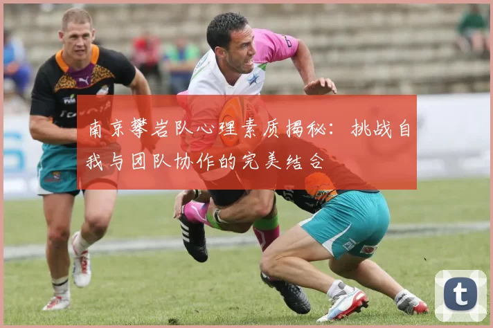 南京攀岩队心理素质揭秘:挑战自我与团队协作的完美结合