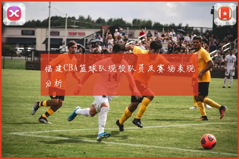 福建CBA篮球队现役队员及赛场表现分析
