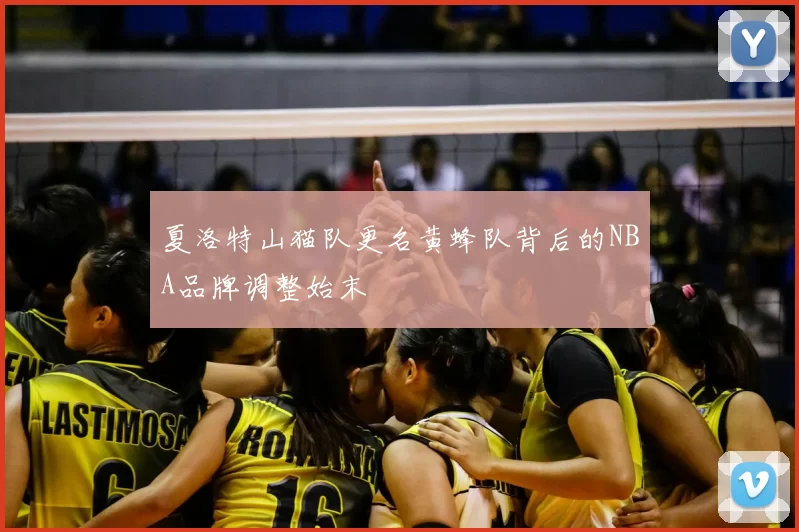 夏洛特山猫队更名黄蜂队背后的NBA品牌调整始末
