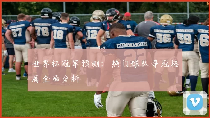 世界杯冠军预测：热门球队争冠格局全面分析