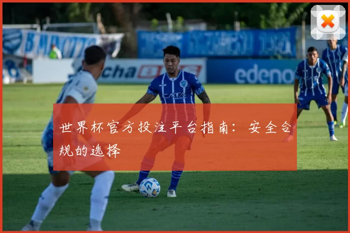 世界杯官方投注平台指南：安全合规的选择
