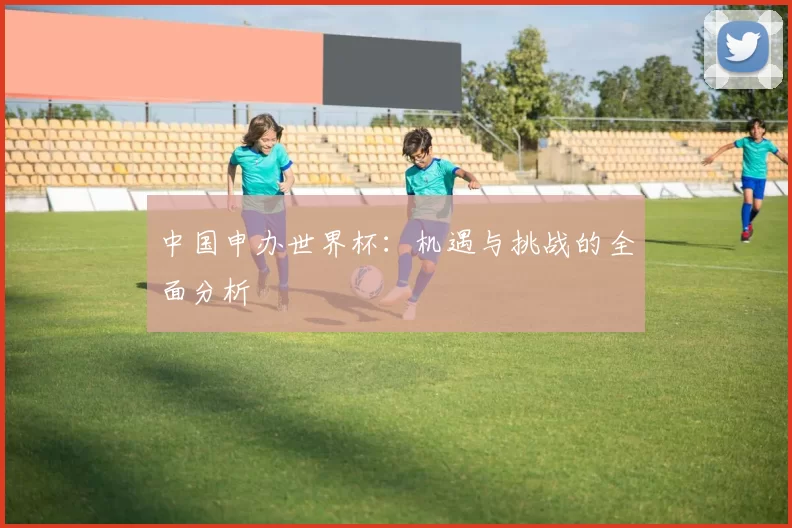 中国申办世界杯：机遇与挑战的全面分析