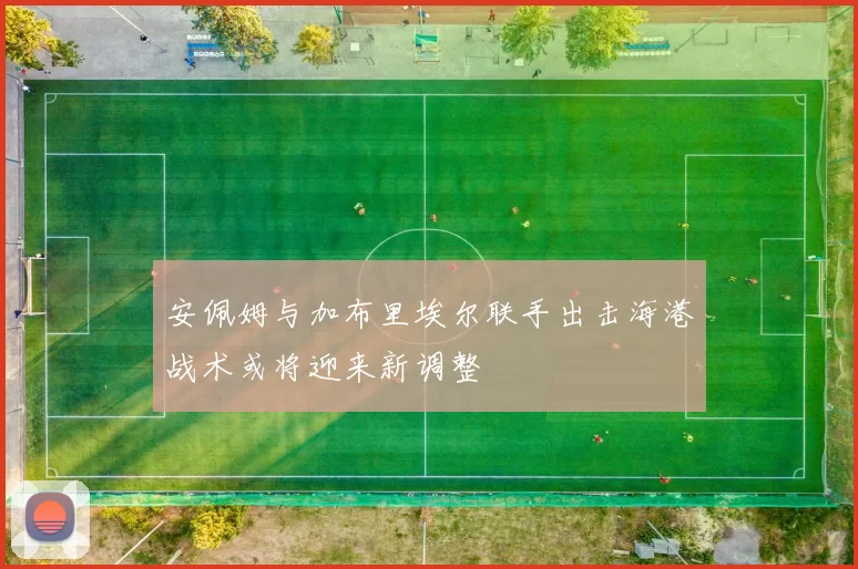 安佩姆与加布里埃尔联手出击海港战术或将迎来新调整
