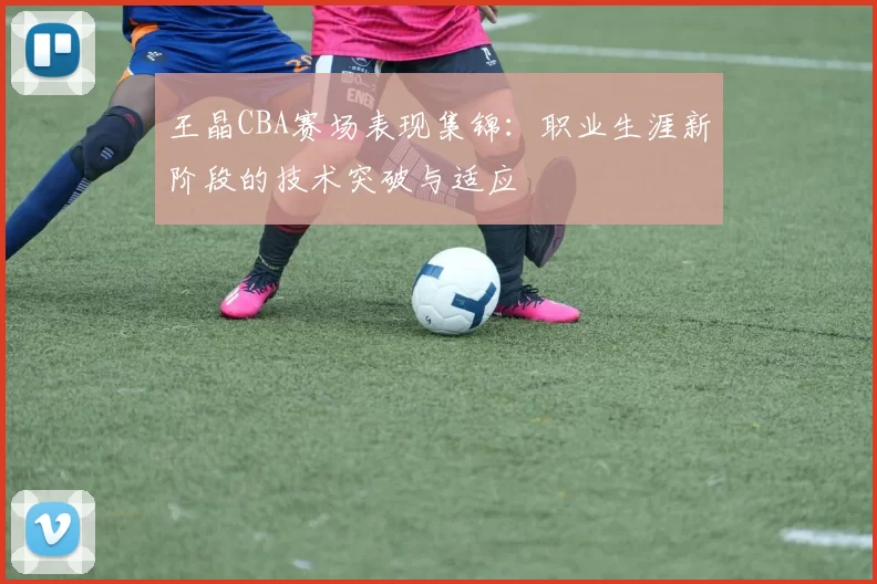 王晶CBA赛场表现集锦：职业生涯新阶段的技术突破与适应