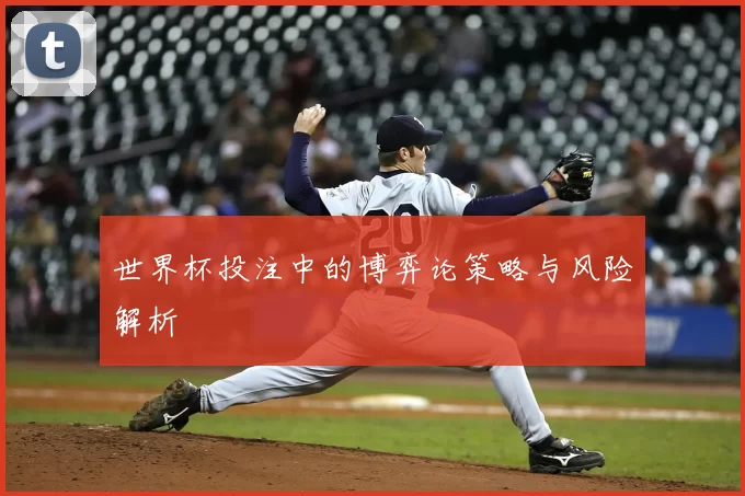 世界杯投注中的博弈论策略与风险解析
