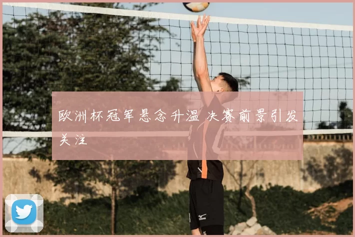 欧洲杯冠军悬念升温 决赛前景引发关注