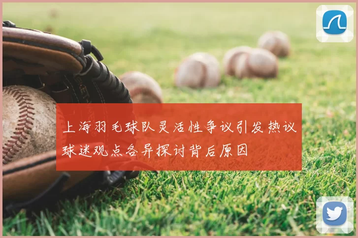 上海羽毛球队灵活性争议引发热议球迷观点各异探讨背后原因
